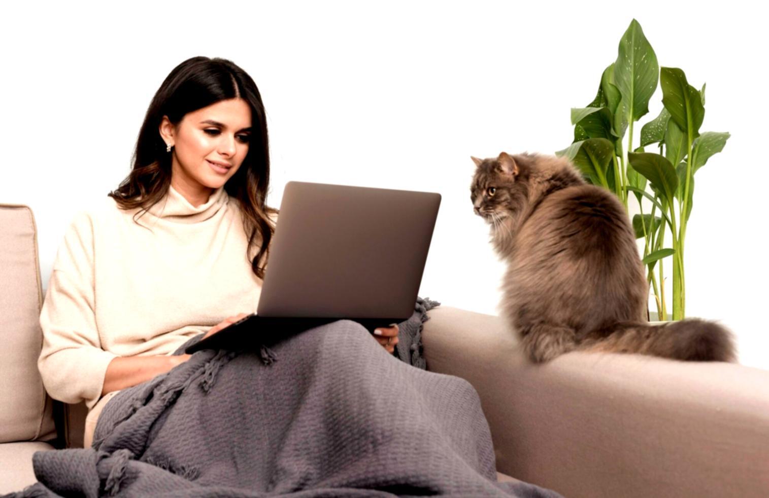 Financial analysis charts and graphs showing cost optimization results